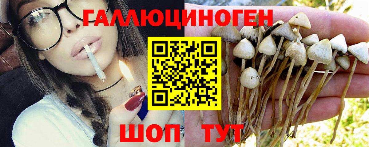 Псилоцибиновые грибы Magic Shrooms  Вход с VPN  Приморско-Ахтарск 