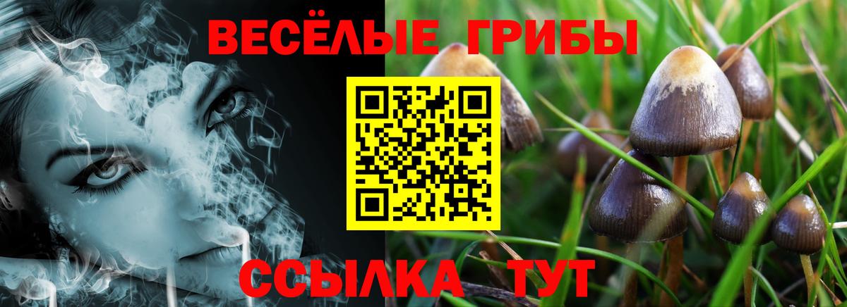 ГАШ  LSD-25  МАРИХУАНА  Приморско-Ахтарск  Вход с VPN  COCAIN  Мефедрон  